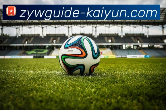 开云官方app下载APP 封面图